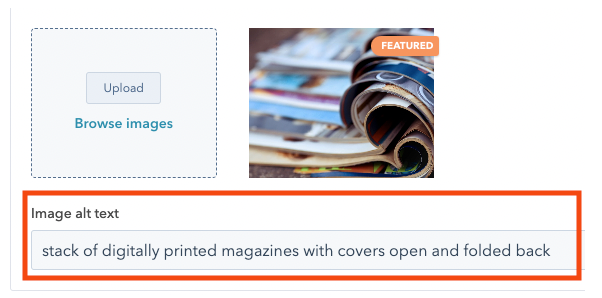 alt text image