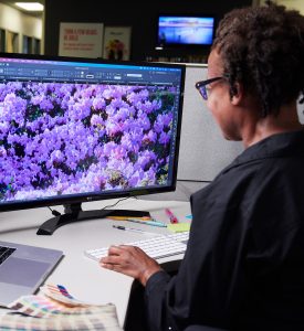 A graphic designer working at a computer