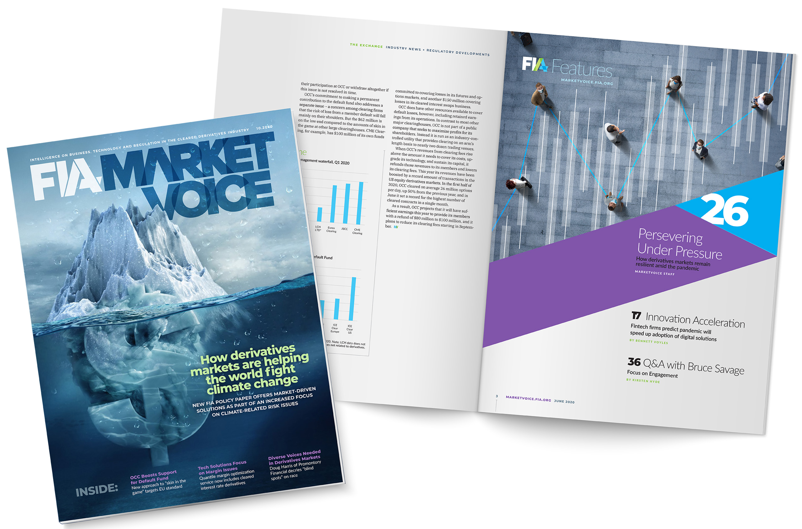 Who We Serve Financial Ironmark